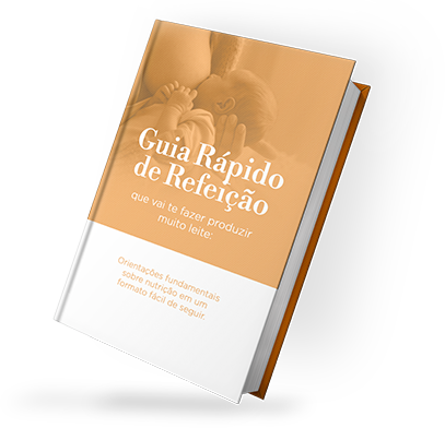 mockup guia rapido de refeições (1)